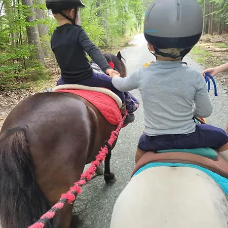 Zagroda Studzienno&agroturystyka Gospodarstwo agroturystyczne