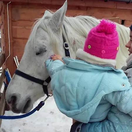 Zagroda Studzienno&agroturystyka * Studzienno