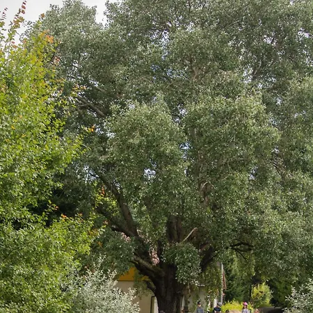 Gospodarstwo agroturystyczne Zagroda Studzienno&agroturystyka Studzienno