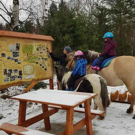 Zagroda Studzienno&agroturystyka * Studzienno