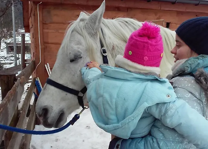 Zagroda & * Studzienno