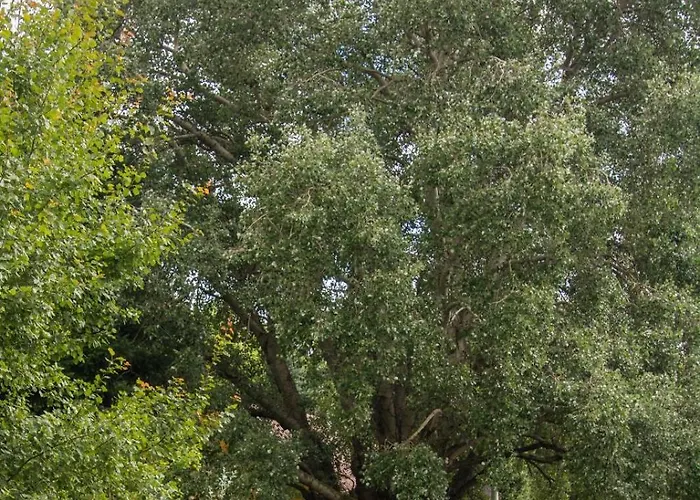 Farmház Zagroda & Studzienno