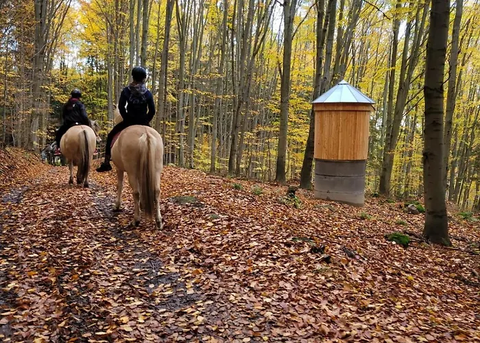 Zagroda & * Studzienno