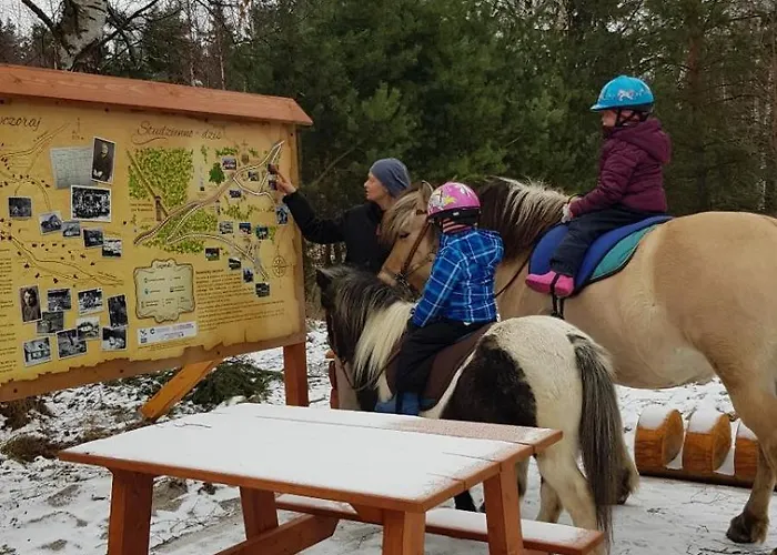 Zagroda & * Studzienno